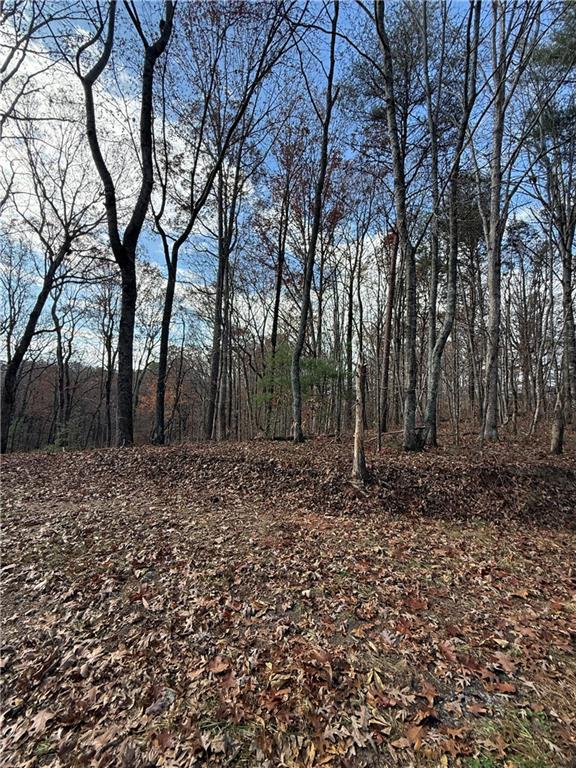 0 Orchard Road Jasper, GA 30143 - Photo 10 of 17