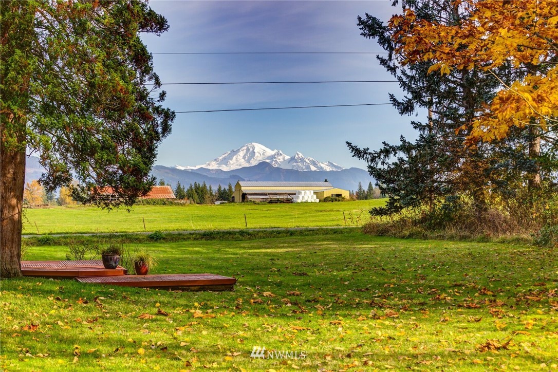 6481 Noon Road Everson, WA 98247 - Photo 6 of 25 a view of a big yard