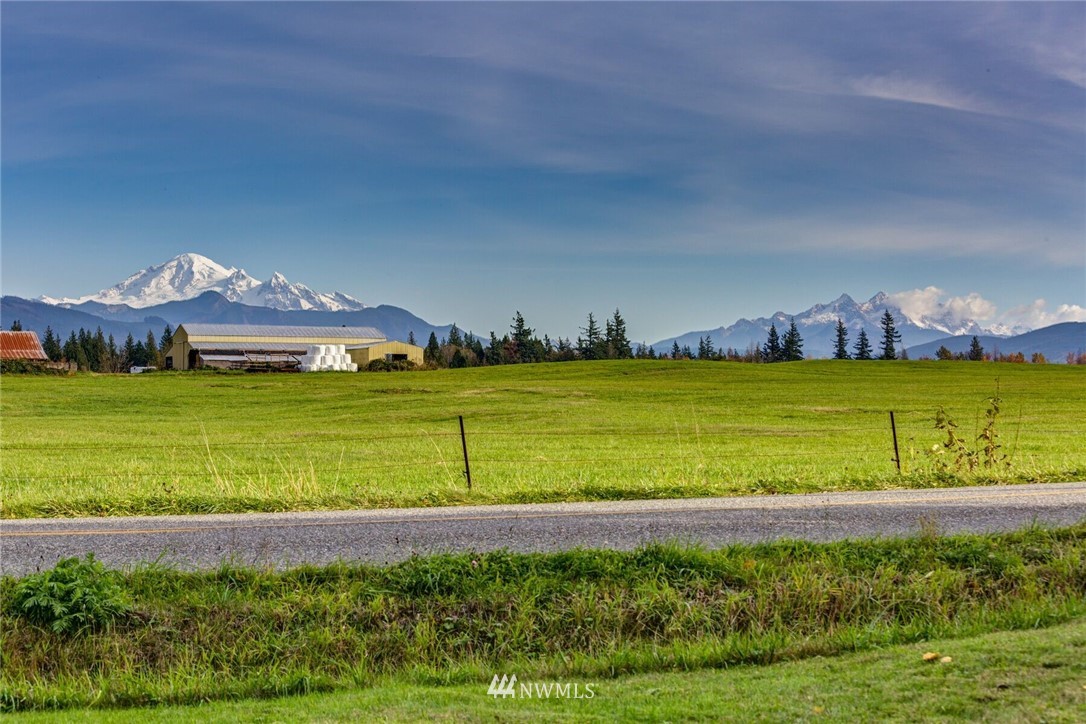 6481 Noon Road Everson, WA 98247 - Photo 8 of 25 a view of a city with lawn chairs and large trees