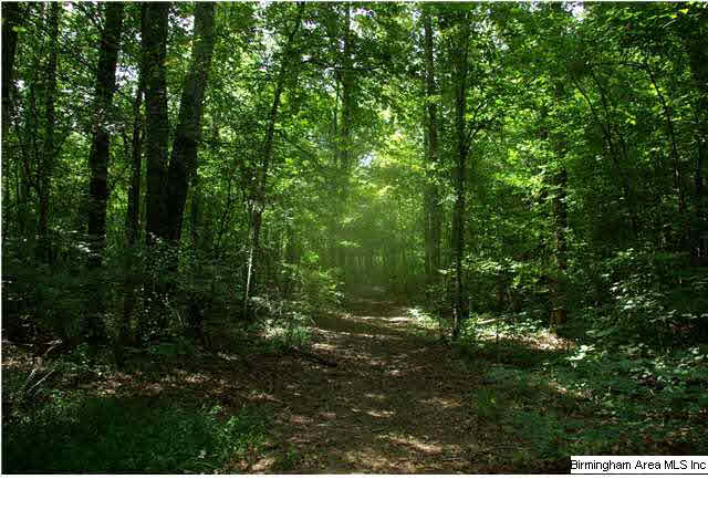 776 Robbins Branch Road, Unit 1 Altoona, AL 35952 - Photo 22 of 30 Gallery Image 22