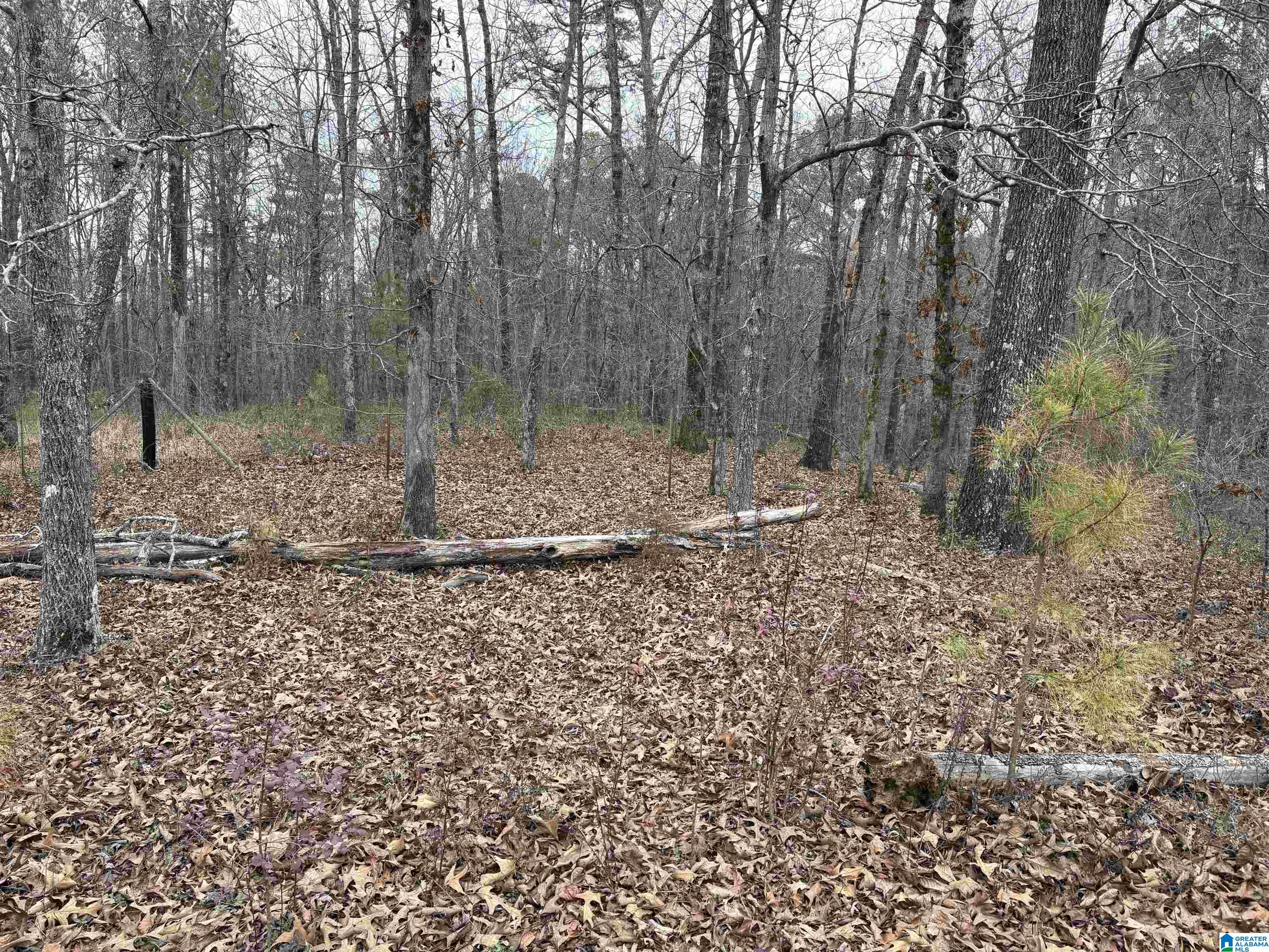 3349 Nail Road, Unit 40 6 ACRES / Warrior, AL 35180 - Photo 14 of 16