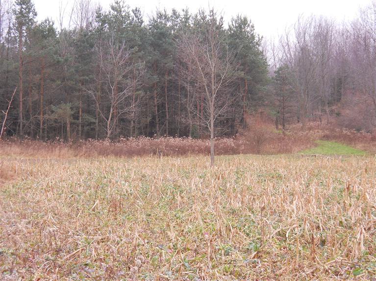 Potters Road, Unit PAR 1 Ionia, MI 48846 - Photo 2 of 15 Additional Photo