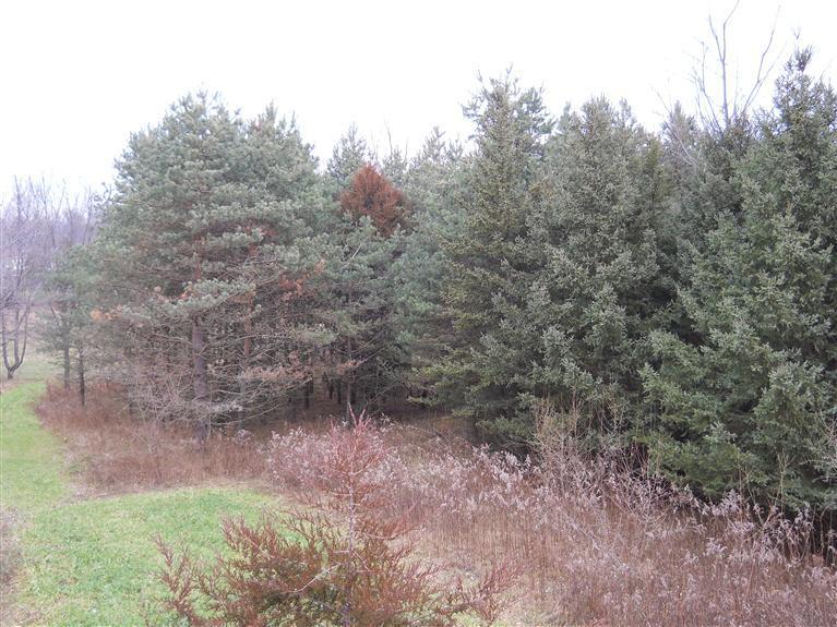 Potters Road, Unit PAR 1 Ionia, MI 48846 - Photo 4 of 15 Additional Photo