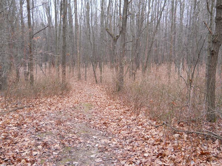 Potters Road, Unit PAR 1 Ionia, MI 48846 - Photo 7 of 15 Additional Photo