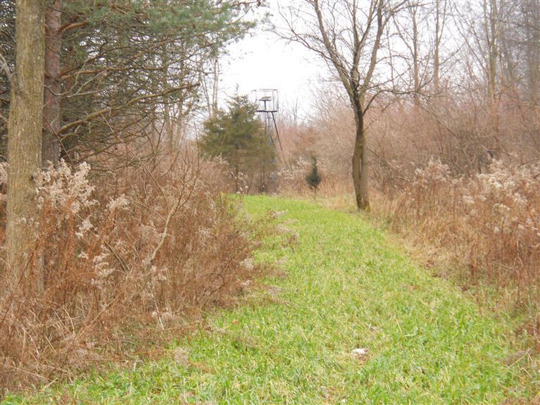 Potters Road, Unit PAR 1 Ionia, MI 48846 - Photo 9 of 15 Additional Photo