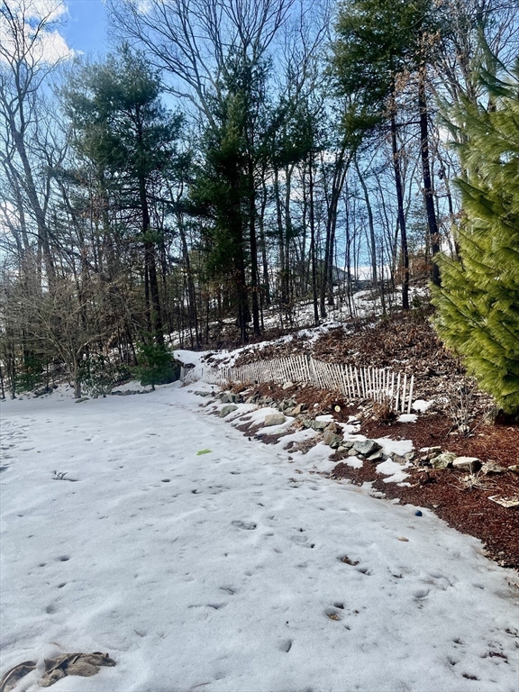 4 Castle Road Norfolk, MA 02056 - Photo 38 of 42 Gallery Image 38