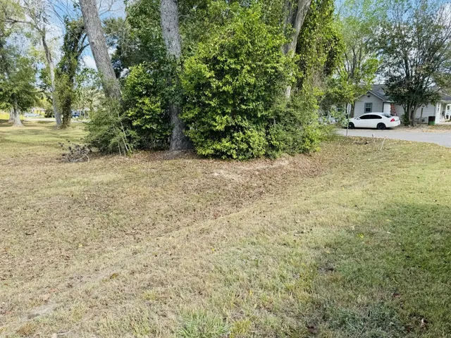 a view of a yard with plants and trees