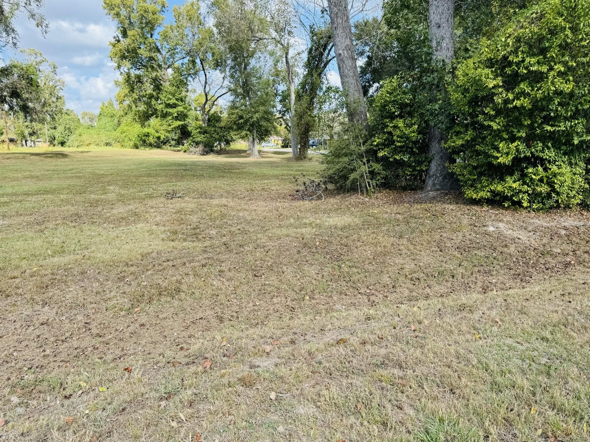 Tbd Clarence Street Dayton, TX 77535 - Photo 5 of 6 a yard with a trees