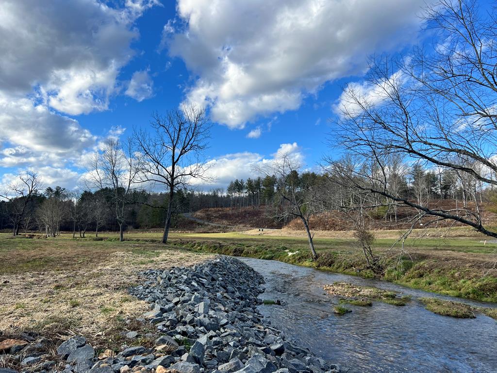 Lot 112 Split Creek Road Morganton, GA 30560 - Photo 7 of 10 Gallery Image 7