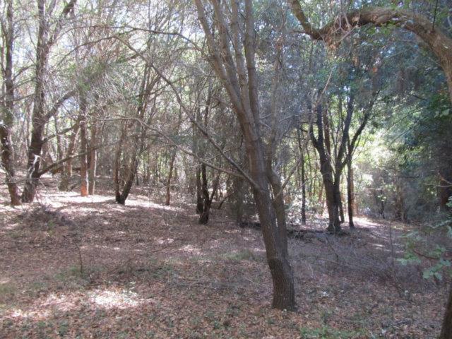 -00 Oak Ridge Aptos, CA 95003 - Photo 6 of 13 Gallery Image 6