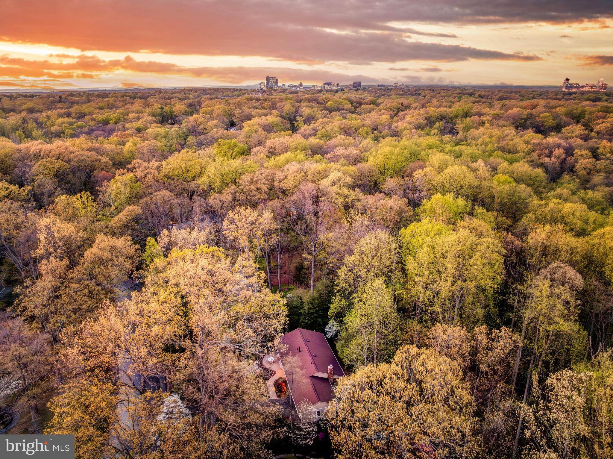 2515 Fowlers Lane Reston, VA 20191 - Photo 6 of 6 view of city and mountain