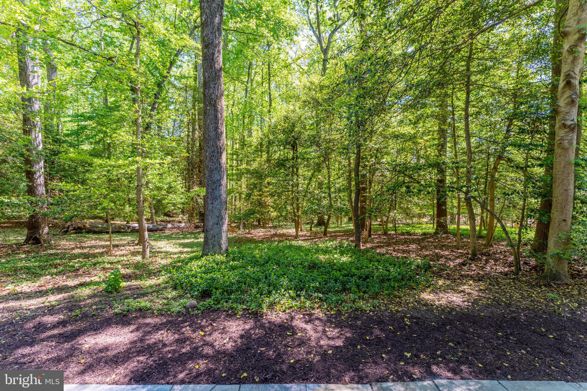 2515 Fowlers Lane Reston, VA 20191 - Photo 66 of 66