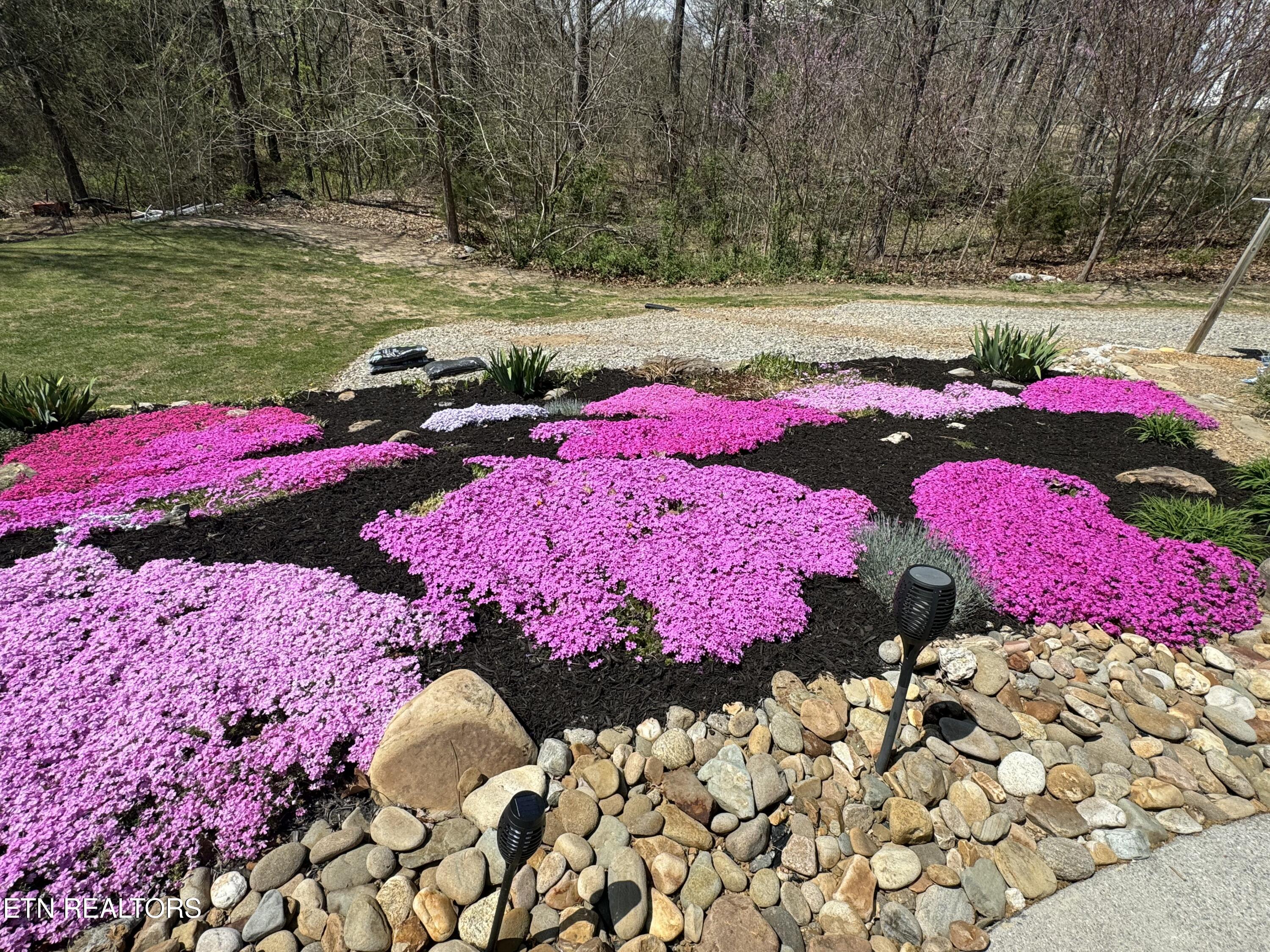 298 Cherokee Cove Rutledge, TN 37861 - Photo 20 of 32 IMG_5306