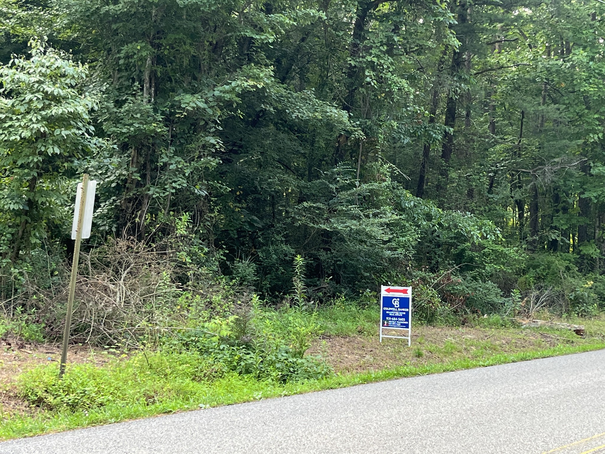0 20th Avenue Gruetli Laager, TN 37339 - Photo 2 of 5 a green field with trees in the background