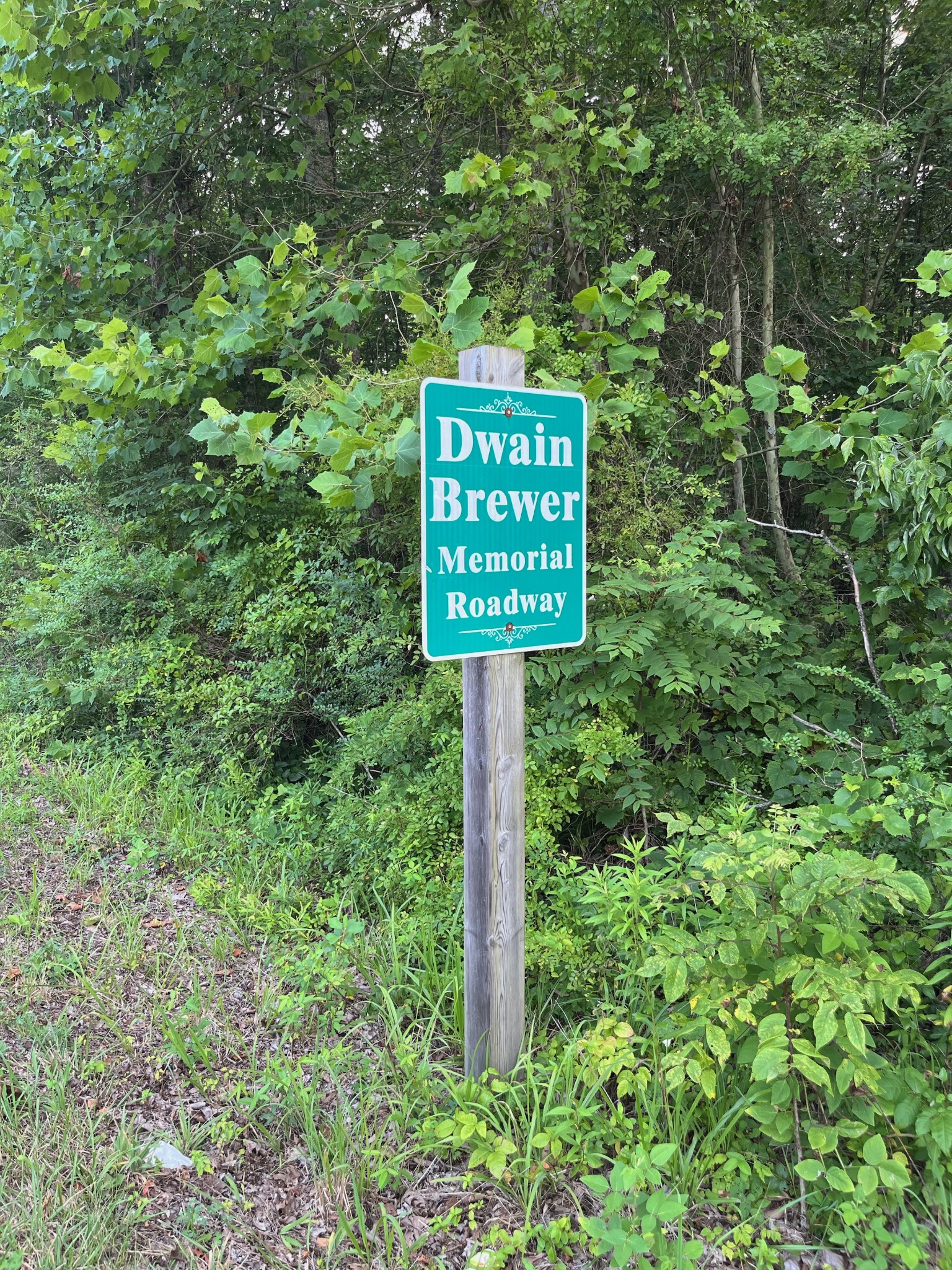 0 20th Avenue Gruetli Laager, TN 37339 - Photo 3 of 5 a sign that is on a pole