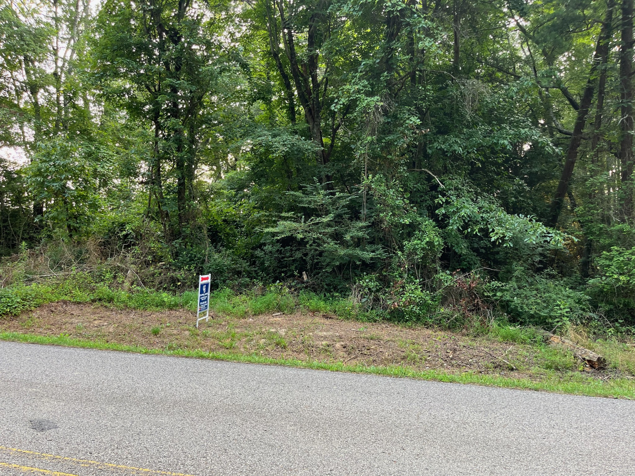 0 20th Avenue Gruetli Laager, TN 37339 - Photo 4 of 5