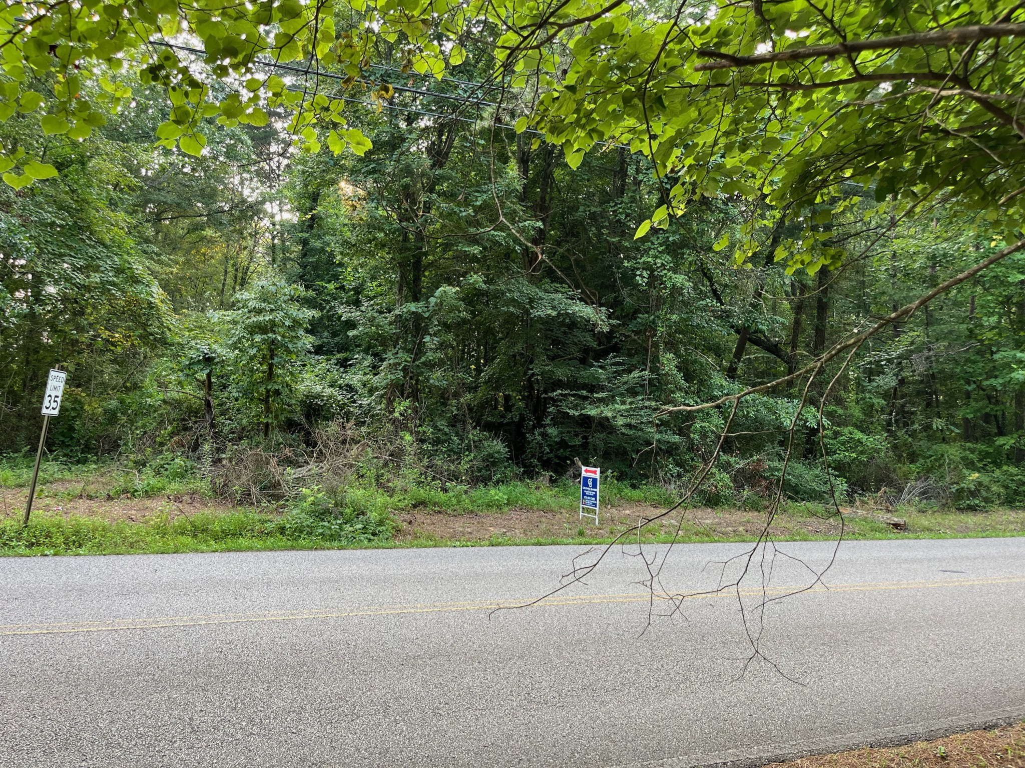 0 20th Avenue Gruetli Laager, TN 37339 - Photo 5 of 5 a view of a road with a bench in the background