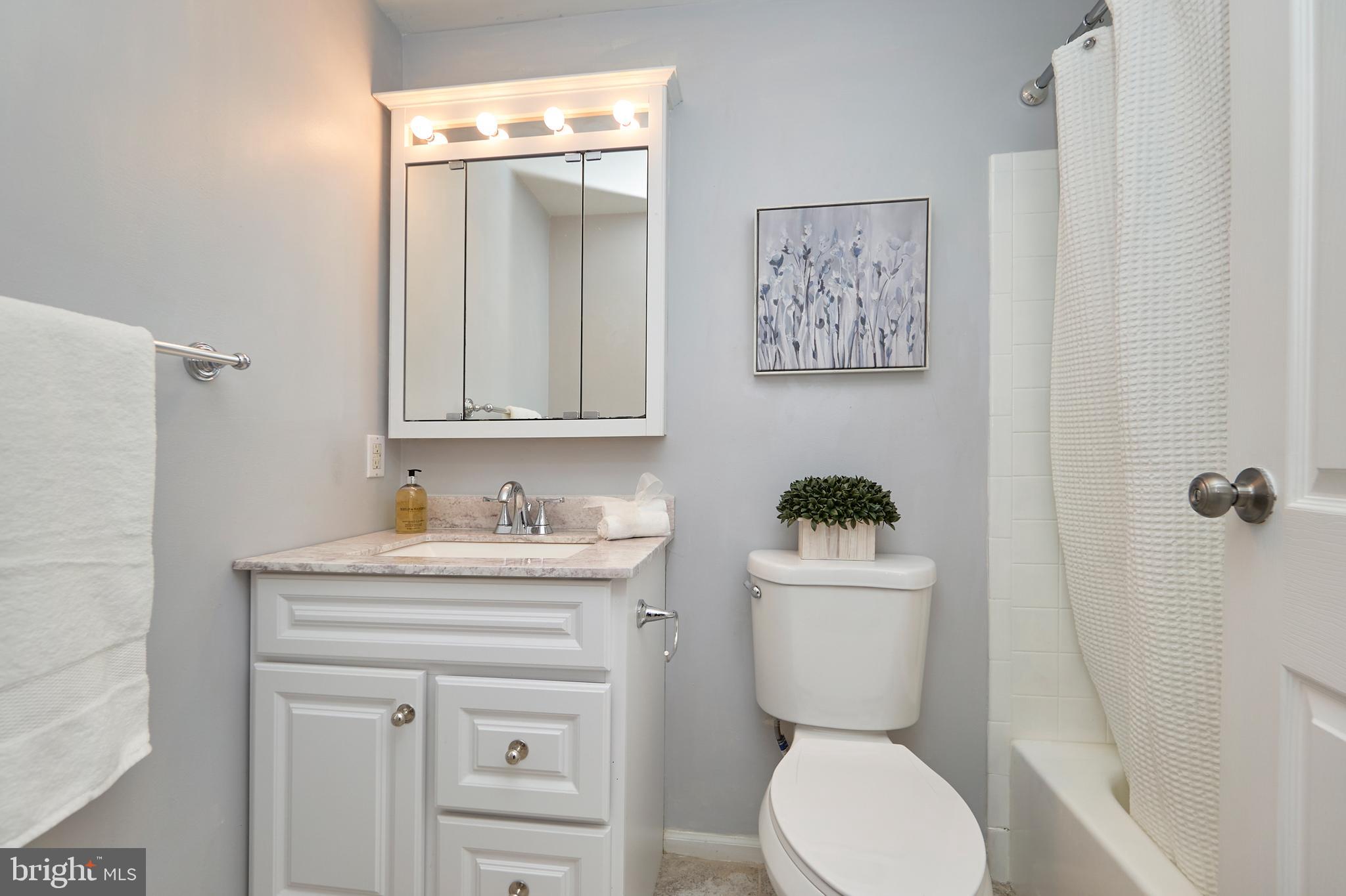 1676 Bayfield Way Reston, VA 20194 - Photo 18 of 30 Upgraded full bathroom