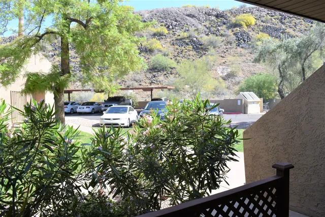 a front view of house with a garden