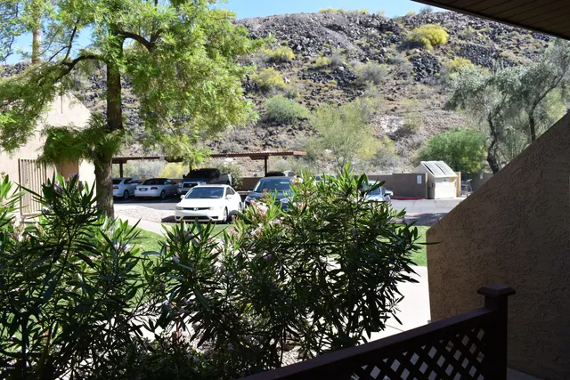 an outdoor view of garden with patio