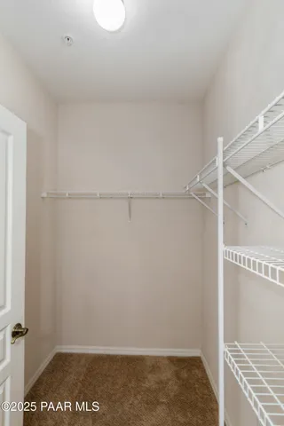 a view of a dry yard with trees