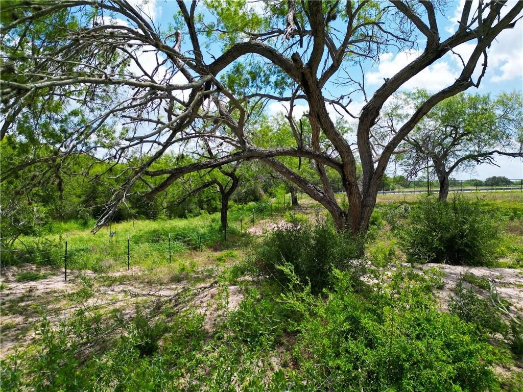 0 Fm 673 Pawnee, TX 78145 - Photo 17 of 19 a backyard of a house with lots of green space