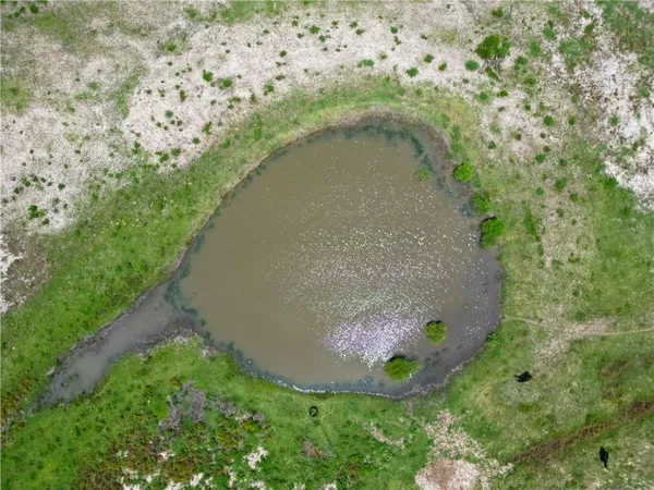 a view of a lake with a yard