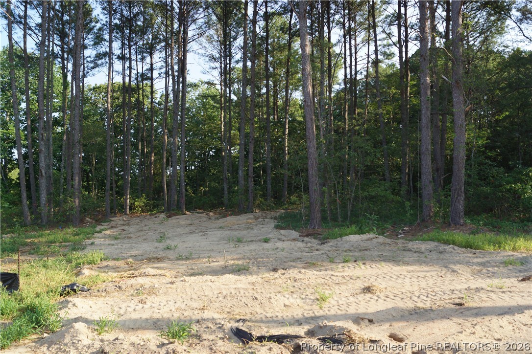 505 Longstreet Road Sanford, NC 27330 - Photo 19 of 21
