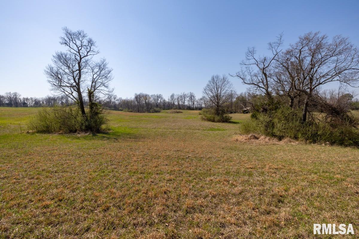 11177 Stotlar Road Marion, IL 62959 - Photo 51 of 56
