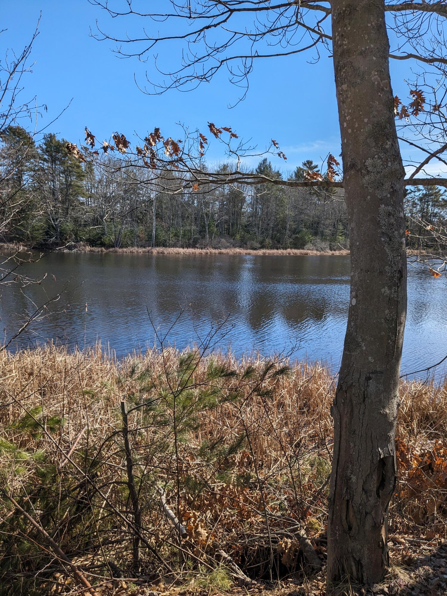 34 The Tote Road Harpswell, ME 04079 - Photo 37 of 49 PXL_20240304_164809548