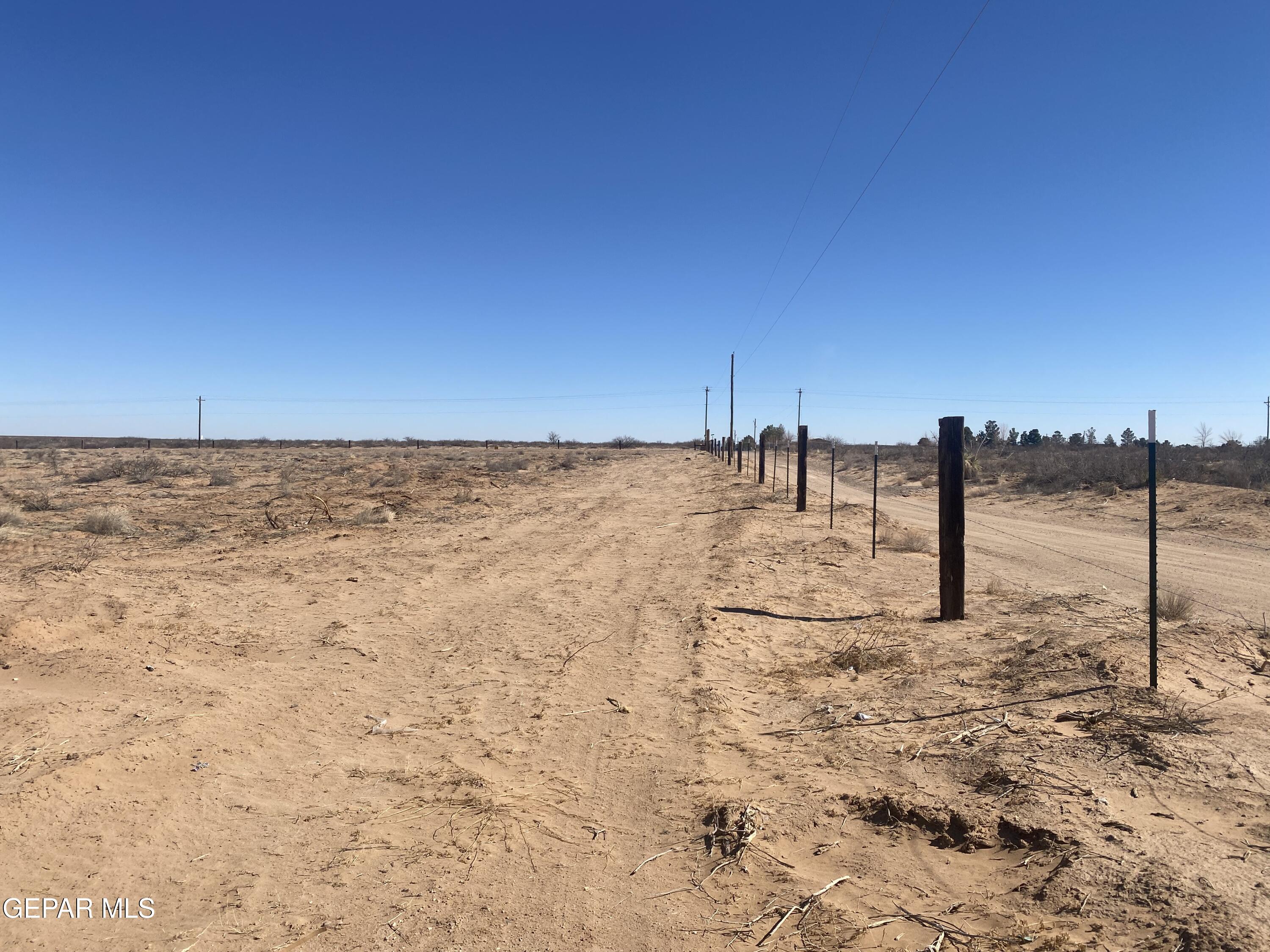 1001 Finley Street Chaparral, NM 88081 - Photo 6 of 16 a view of outdoor space with trees