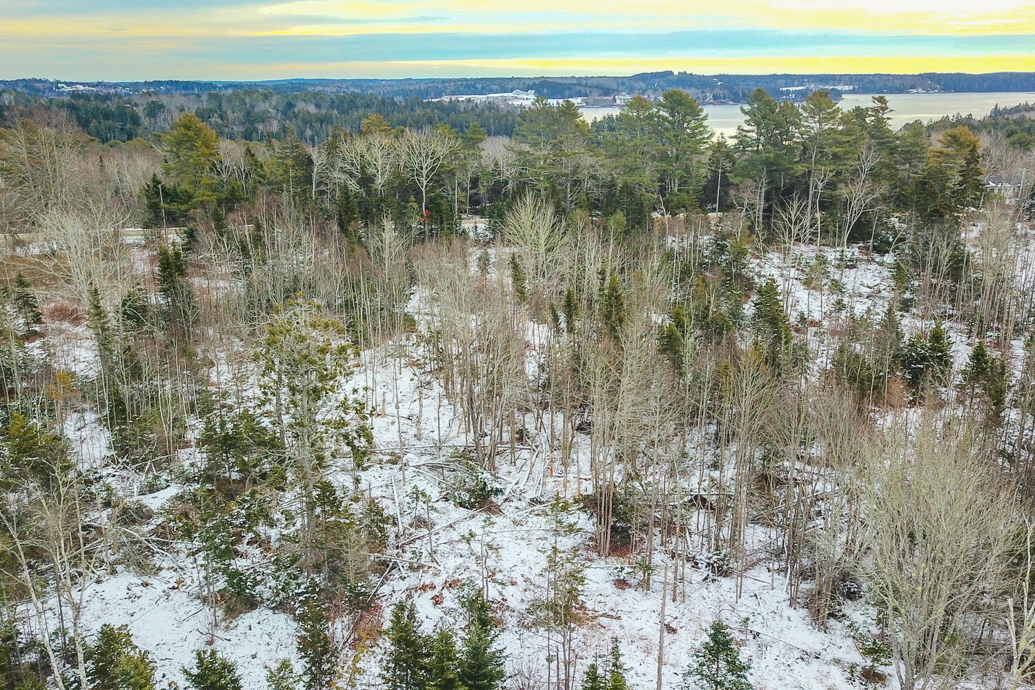 Lot 5 Map 105 Cushing Road Friendship, ME 04547 - Photo 11 of 11 Cushing Rd Friendship 11-(ZF-7063-08000-