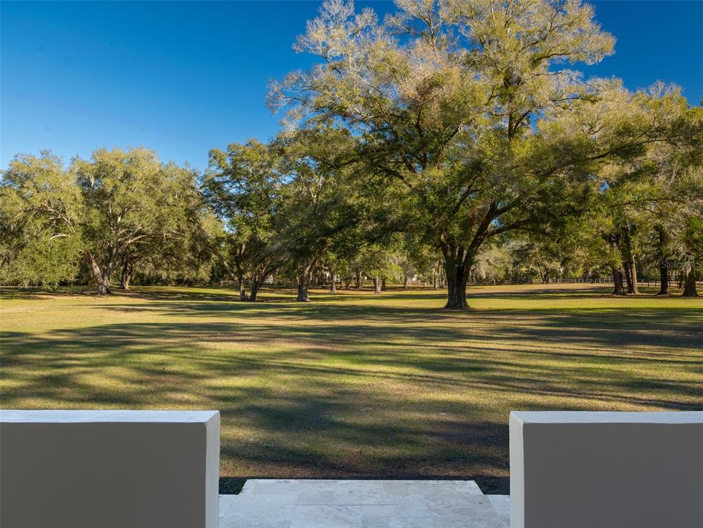 3 Carry Back Road Ocala, FL 34482 - Photo 19 of 37 a view of a yard with an outdoor space