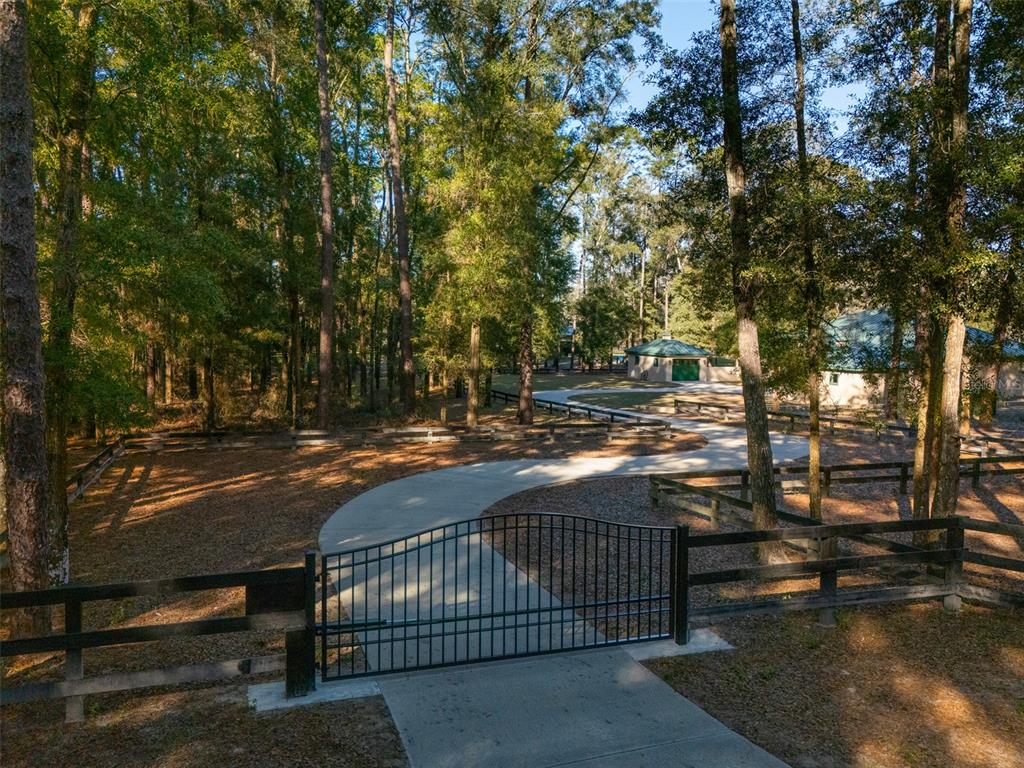 3 Carry Back Road Ocala, FL 34482 - Photo 25 of 37 a view of street along with trees