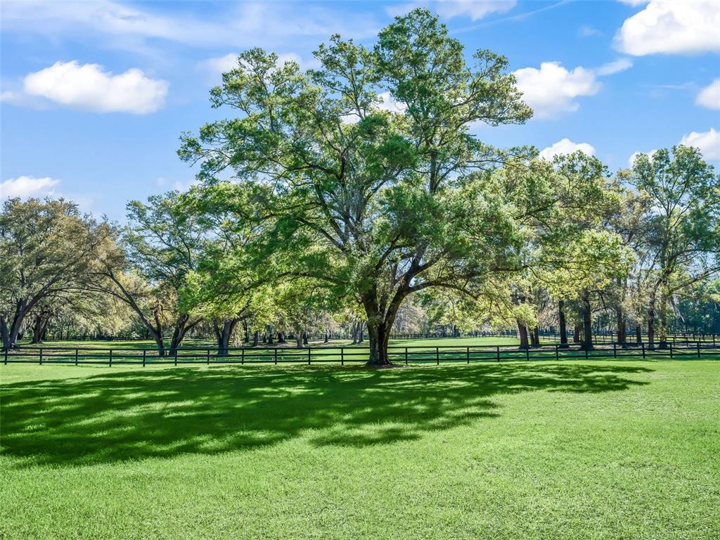 3 Carry Back Road Ocala, FL 34482 - Photo 29 of 37 a building with trees in the background