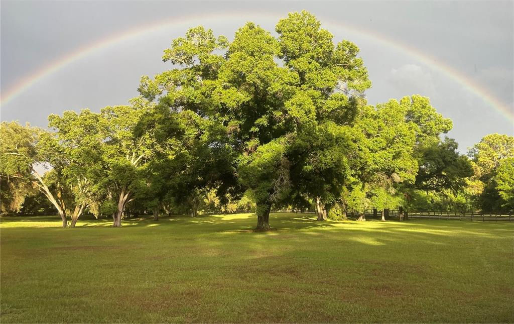 3 Carry Back Road Ocala, FL 34482 - Photo 30 of 37 a view of swimming pool with an outdoor space and seating area