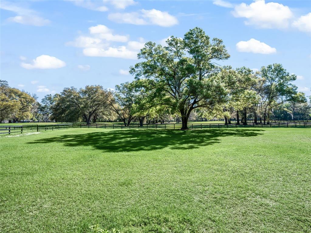 3 Carry Back Road Ocala, FL 34482 - Photo 31 of 37 a view of a golf course