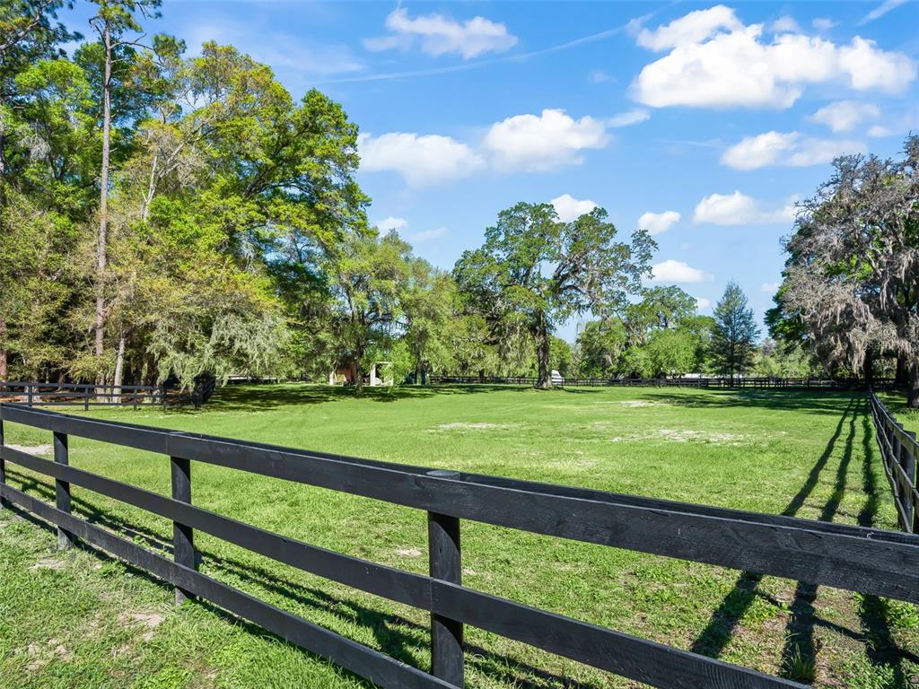 3 Carry Back Road Ocala, FL 34482 - Photo 33 of 37 a view of park with two large trees