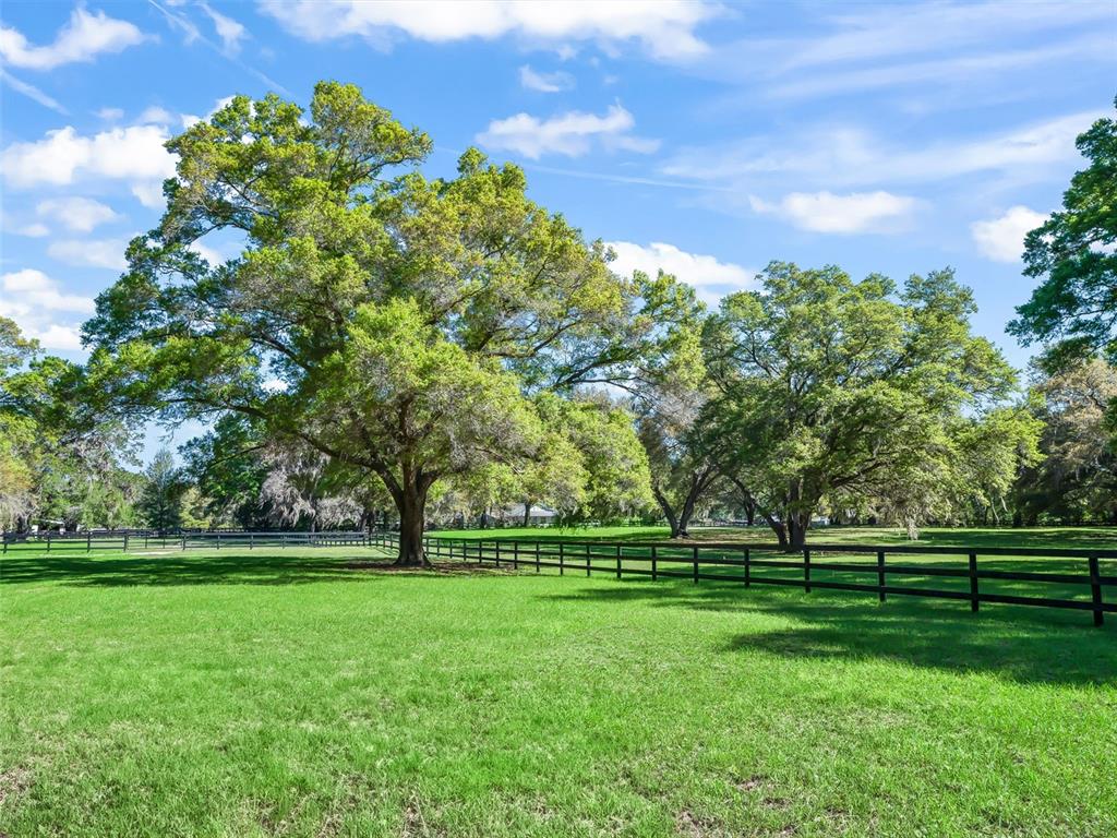3 Carry Back Road Ocala, FL 34482 - Photo 34 of 37 a view of grassy field with benches