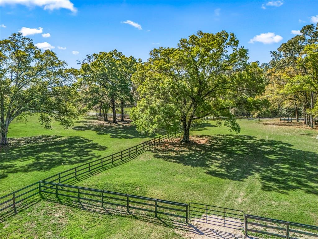 3 Carry Back Road Ocala, FL 34482 - Photo 35 of 37 a view of a park with large trees