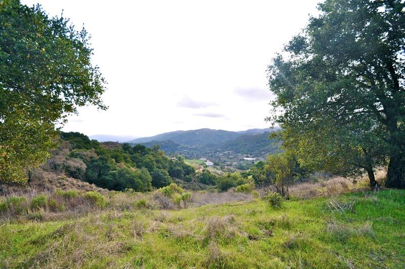0 Mt Eden Road Saratoga, CA 95070 - Photo 12 of 27