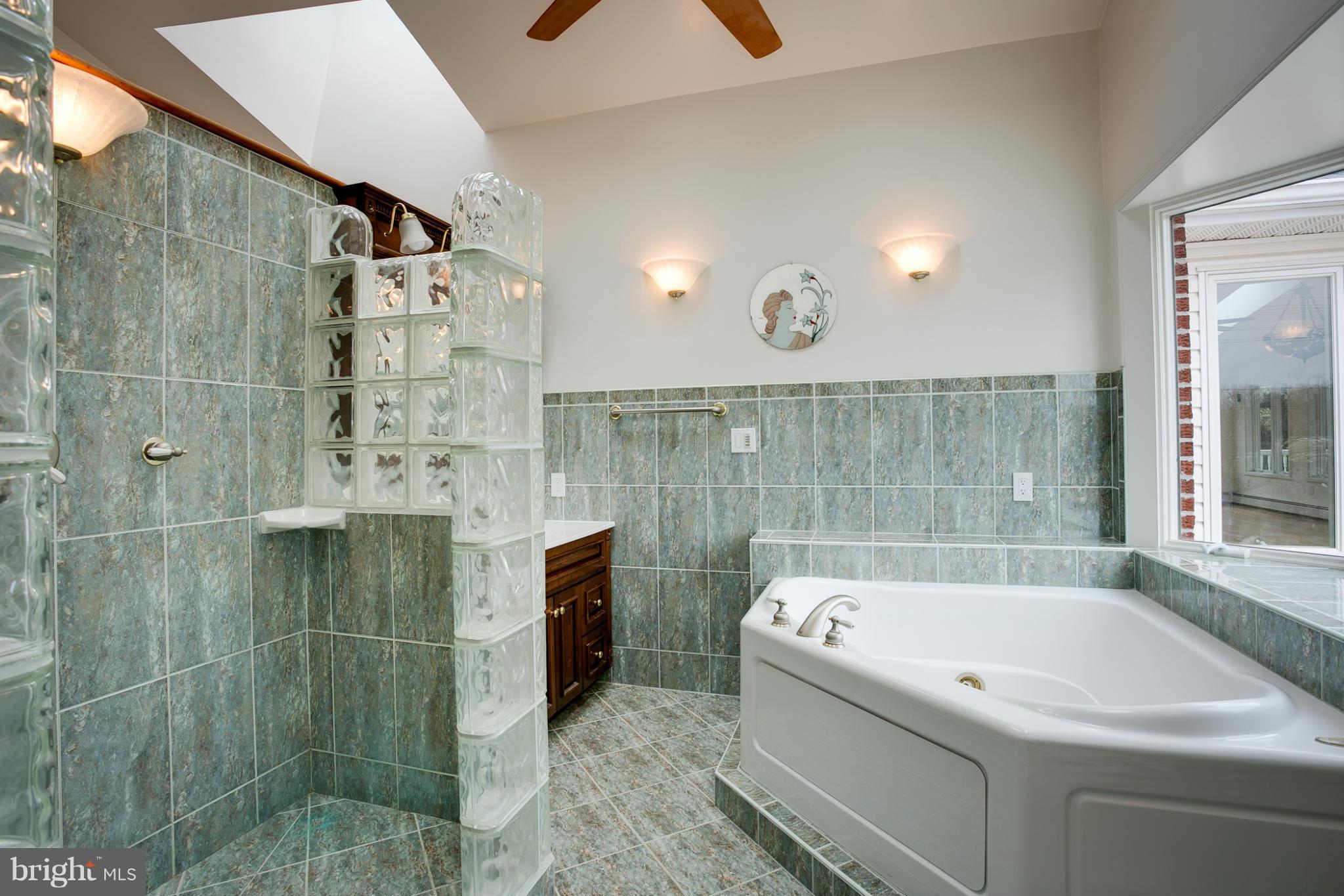 14960 Frederick Road Woodbine, MD 21797 - Photo 14 of 30 Bath (Master)