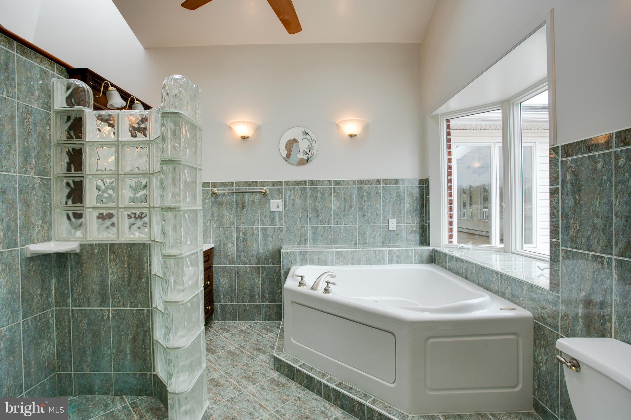 14960 Frederick Road Woodbine, MD 21797 - Photo 15 of 30 Bath (Master)