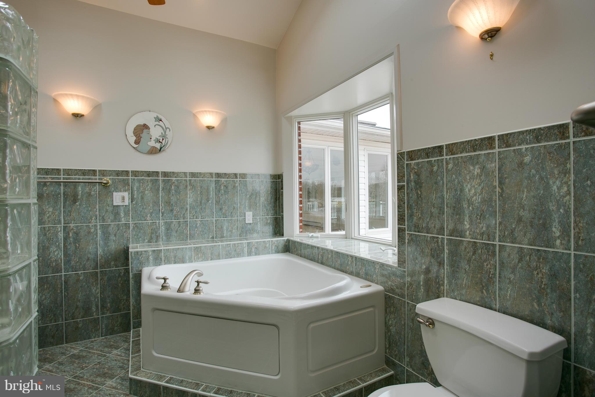 14960 Frederick Road Woodbine, MD 21797 - Photo 16 of 30 Bath (Master)