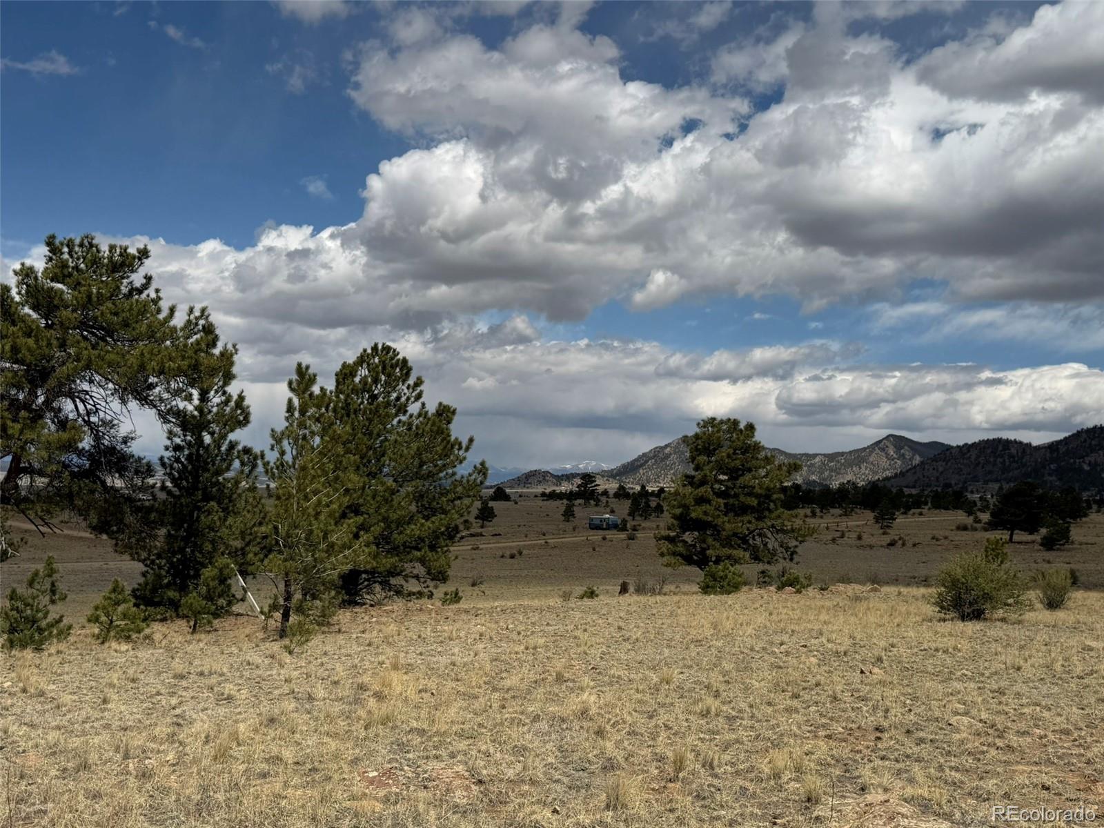 42 Turner Gulch Road Lake George, CO 80827 - Photo 15 of 23 a view of a yard