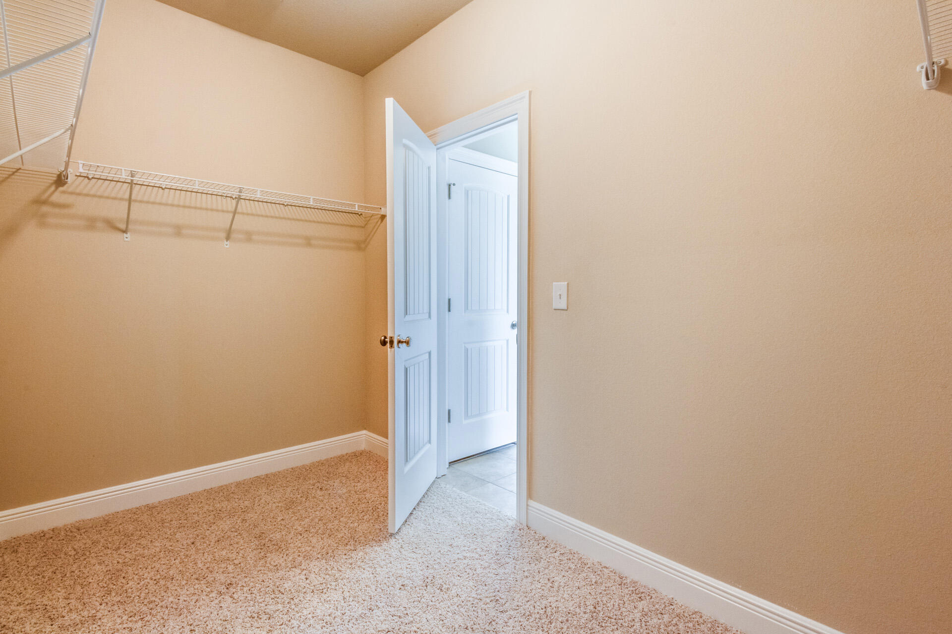 89 Palmview Lane Santa Rosa Beach, FL 32459 - Photo 17 of 21 The Emma - Walk In Closet