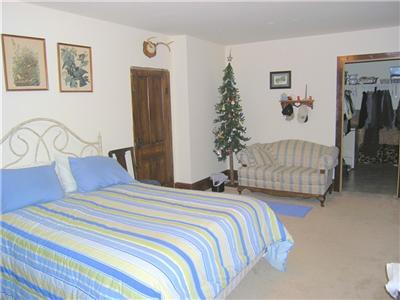 10877 Mann Road Three Rivers, MI 49093 - Photo 9 of 15 Additional Photo