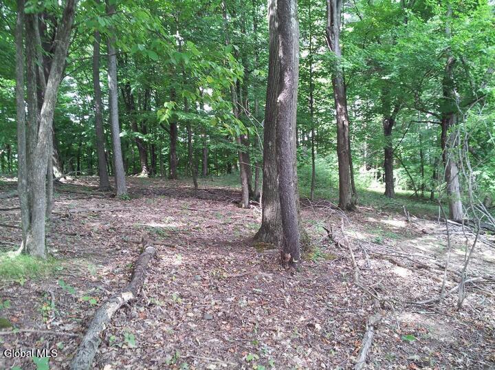 109 Durham Road Stillwater, NY 12170 - Photo 6 of 11 109 Durham Rd