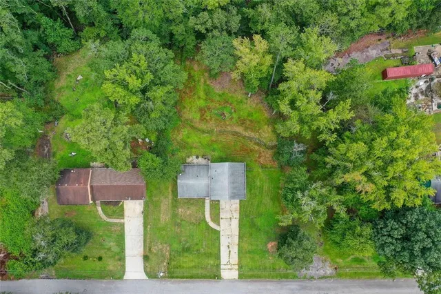 a view of a yard with a large trees