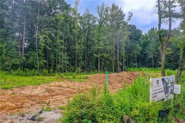 a view of a yard with plants